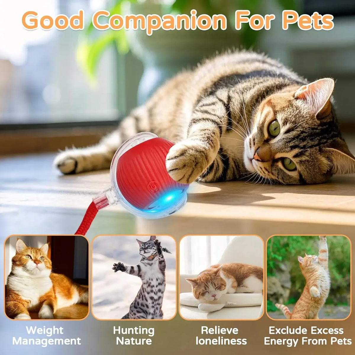 Smart Interactive Cat Ball — Self-Rolling Toy with Feather Tail, USB Rechargeable