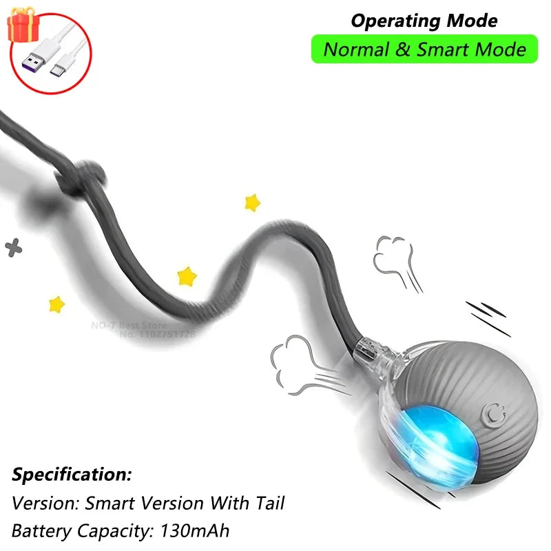 Smart Interactive Cat Ball — Self-Rolling Toy with Feather Tail, USB Rechargeable