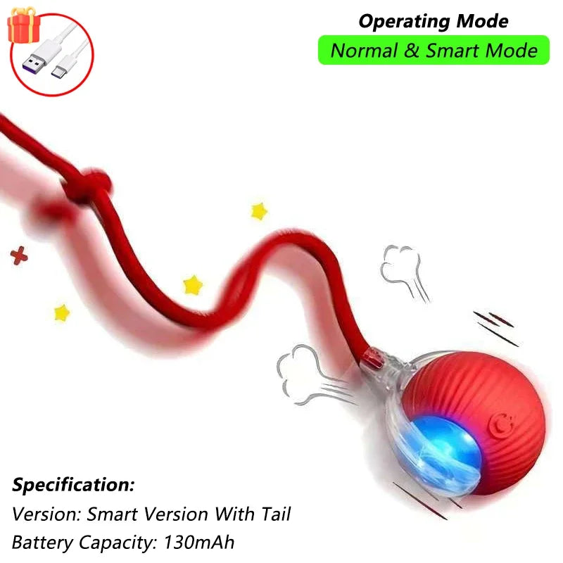 Smart Interactive Cat Ball — Self-Rolling Toy with Feather Tail, USB Rechargeable