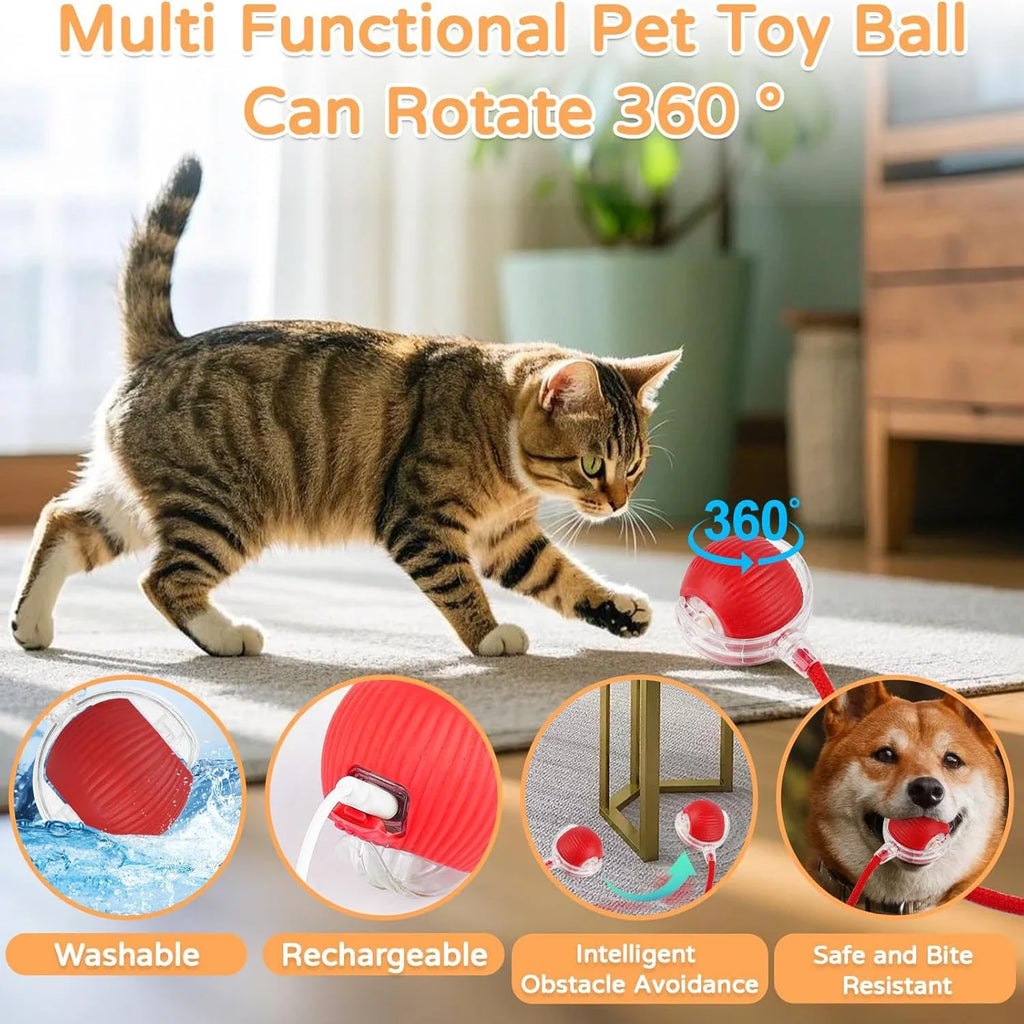 Smart Interactive Cat Ball — Self-Rolling Toy with Feather Tail, USB Rechargeable